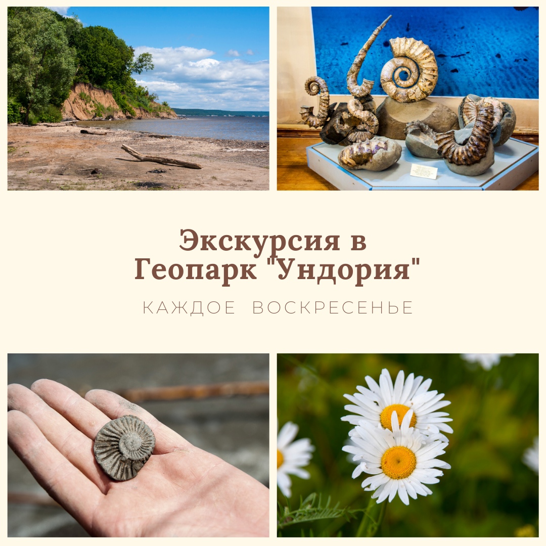 Афиша Ульяновск Экскурсия в геопарк "Ундория"