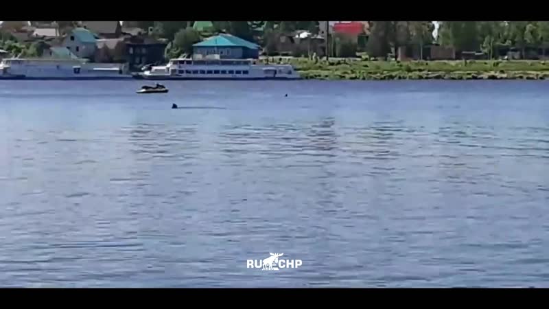 Кимры