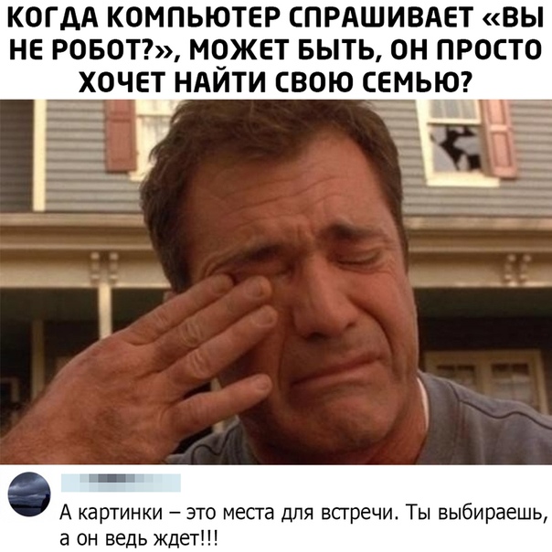 веселые картинки