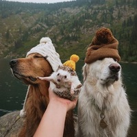 Юля Прокопенко