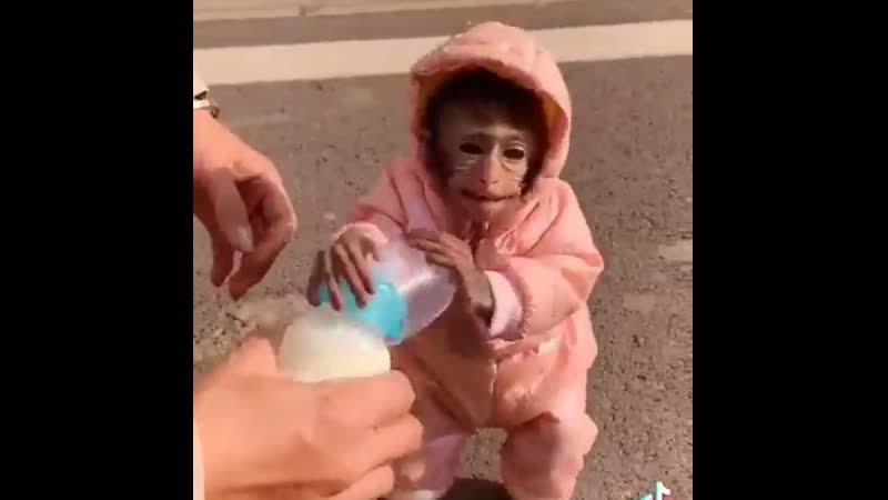 Ботиночки забыли одеть 🙄🙄