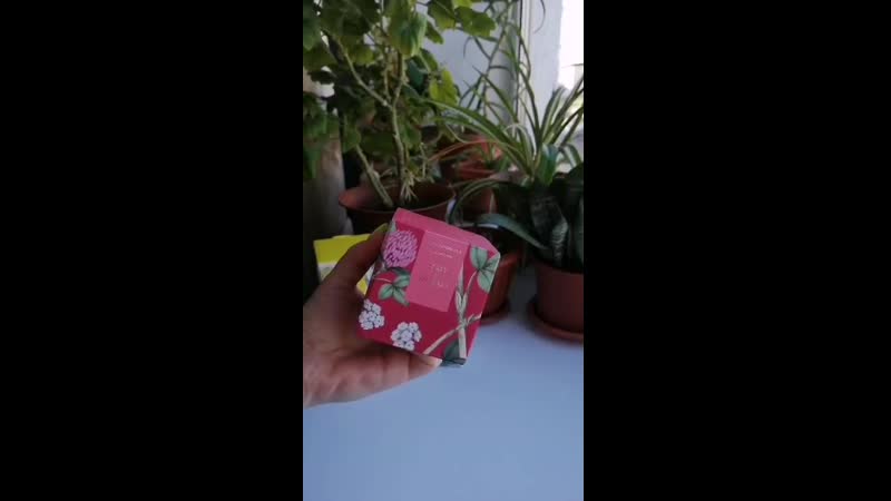2_5395634059525228379.mp4