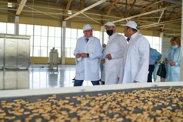 невинномысская кондитерская фабрика. фабрики ставропольского края. фабрики ставропольского края. директор консервного завода георгиевск. ставропольский завод лимонадов.