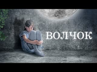 Волчок (2009)