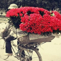Мадина Хатаева : профиль, фото, статус - ВКонтакте
